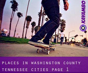 places in Washington County Tennessee (Cities) - page 1
