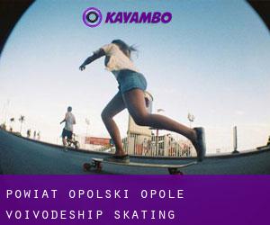 Powiat opolski (Opole Voivodeship) skating
