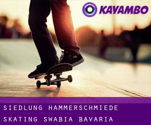 Siedlung Hammerschmiede skating (Swabia, Bavaria)