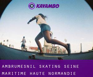 Ambrumesnil skating (Seine-Maritime, Haute-Normandie)