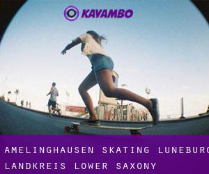 Amelinghausen skating (Lüneburg Landkreis, Lower Saxony)