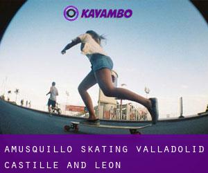 Amusquillo skating (Valladolid, Castille and León)