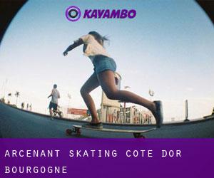 Arcenant skating (Cote d'Or, Bourgogne)