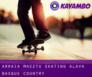 Arraia-Maeztu skating (Alava, Basque Country)