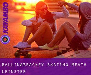 Ballinabrackey skating (Meath, Leinster)