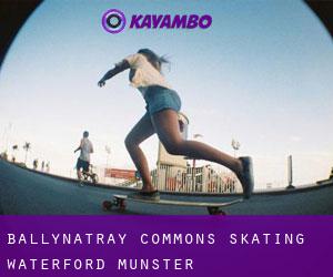Ballynatray Commons skating (Waterford, Munster)