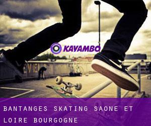 Bantanges skating (Saône-et-Loire, Bourgogne)