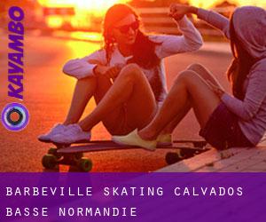 Barbeville skating (Calvados, Basse-Normandie)