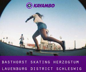 Basthorst skating (Herzogtum Lauenburg District, Schleswig-Holstein)
