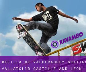 Becilla de Valderaduey skating (Valladolid, Castille and León)