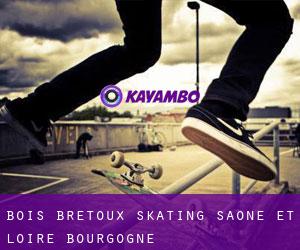 Bois Bretoux skating (Saône-et-Loire, Bourgogne)