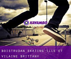 Boistrudan skating (Ille-et-Vilaine, Brittany)