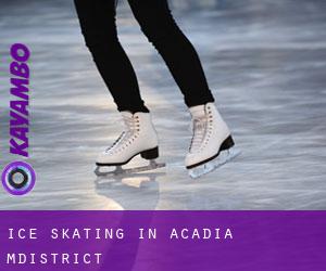 Ice Skating in Acadia M.District