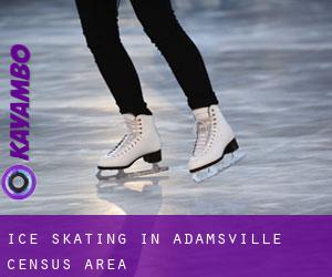 Ice Skating in Adamsville (census area)