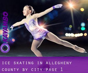 Ice Skating in Allegheny County by city - page 1