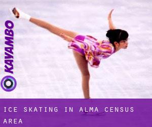 Ice Skating in Alma (census area)