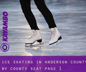 Ice Skating in Anderson County by county seat - page 1