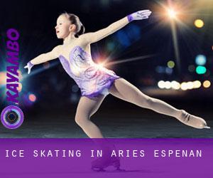 Ice Skating in Aries-Espénan