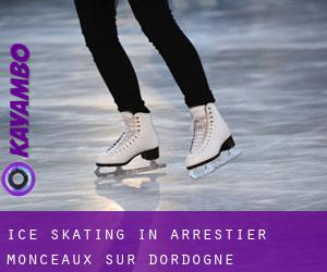 Ice Skating in Arrestier, Monceaux-sur-Dordogne