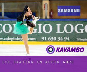 Ice Skating in Aspin-Aure