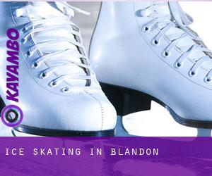 Ice Skating in Blandon