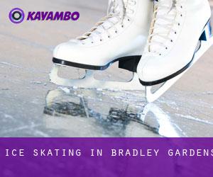 Ice Skating in Bradley Gardens