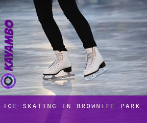Ice Skating in Brownlee Park