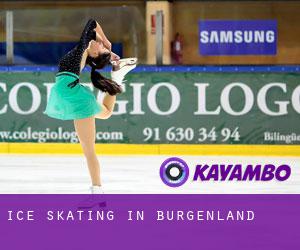 Ice Skating in Burgenland Ice Skating in Burgenland