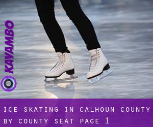 Ice Skating in Calhoun County by county seat - page 1