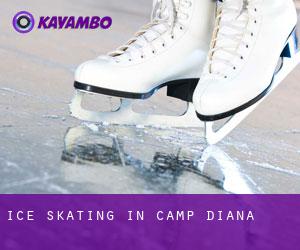 Ice Skating in Camp Diana