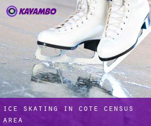 Ice Skating in Côté (census area)
