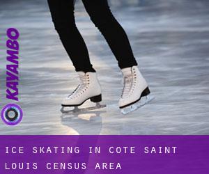 Ice Skating in Côte-Saint-Louis (census area)
