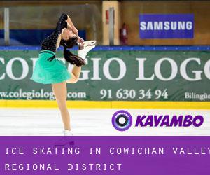 Ice Skating in Cowichan Valley Regional District