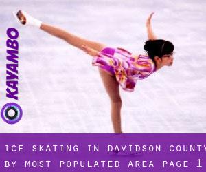 Ice Skating in Davidson County by most populated area - page 1