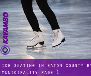 Ice Skating in Eaton County by municipality - page 1
