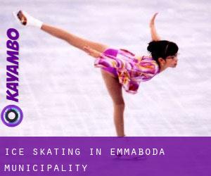 Ice Skating in Emmaboda Municipality