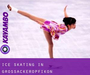 Ice Skating in Grossacker/Opfikon