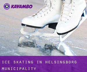 Ice Skating in Helsingborg Municipality