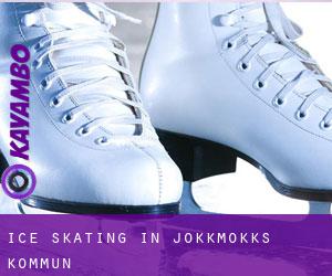 Ice Skating in Jokkmokks Kommun