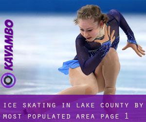 Ice Skating in Lake County by most populated area - page 1