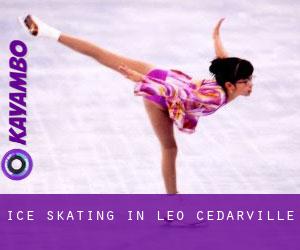 Ice Skating in Leo-Cedarville