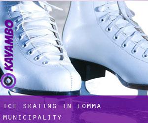 Ice Skating in Lomma Municipality