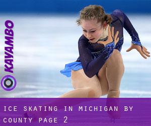 Ice Skating in Michigan by County - page 2