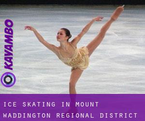 Ice Skating in Mount Waddington Regional District