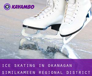 Ice Skating in Okanagan-Similkameen Regional District