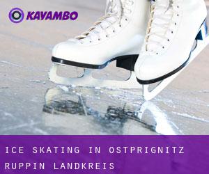 Ice Skating in Ostprignitz-Ruppin Landkreis