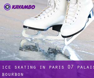 Ice Skating in Paris 07 Palais-Bourbon