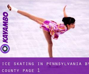 Ice Skating in Pennsylvania by County - page 1