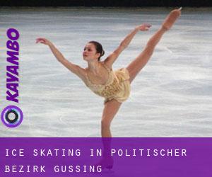 Ice Skating in Politischer Bezirk Güssing