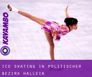 Ice Skating in Politischer Bezirk Hallein
